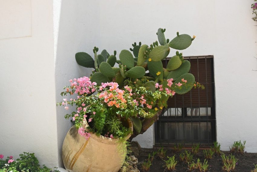 R5315641-Apartment-For-Sale-Nueva-Andalucia-Ground-Floor-Apartment-2-Beds-96-Built-4