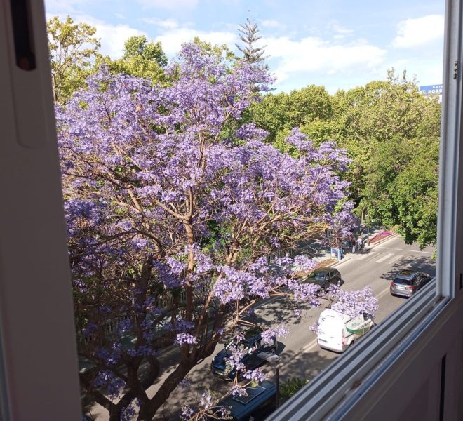 R5336488-Image 1-Middle Floor Apartment - 3 Beds - 160 Built