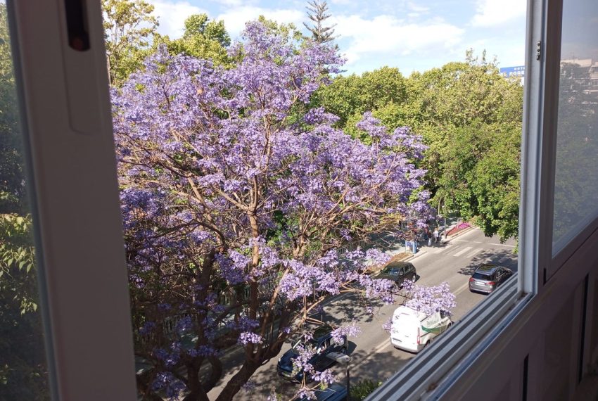 R5336488-Apartment-For-Sale-Marbella-Middle-Floor-Apartment-3-Beds-160-Built