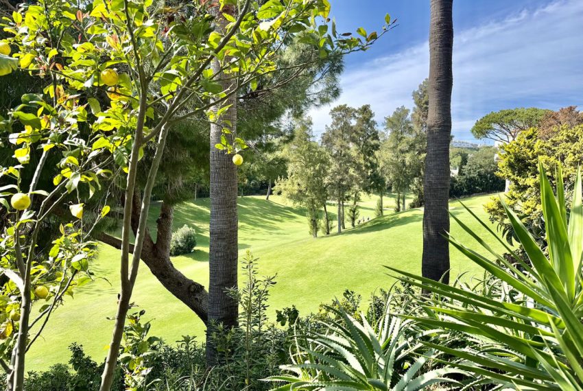 R5339185-Apartment-For-Sale-Calahonda-Penthouse-3-Beds-96-Built-6