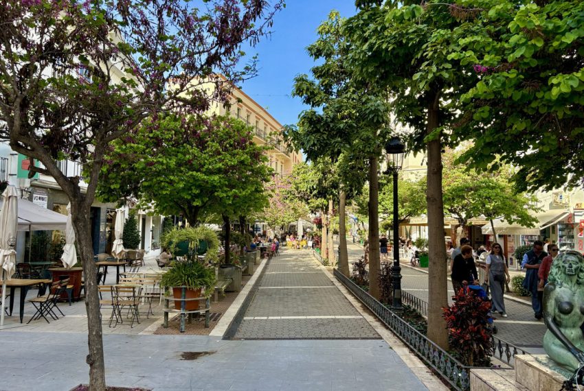 R5346046-Apartment-For-Sale-Estepona-Middle-Floor-Apartment-1-Beds-50-Built-10