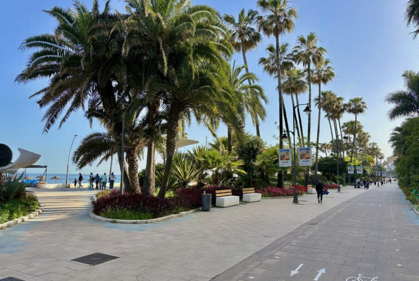 R5346046-Apartment-For-Sale-Estepona-Middle-Floor-Apartment-1-Beds-50-Built-8