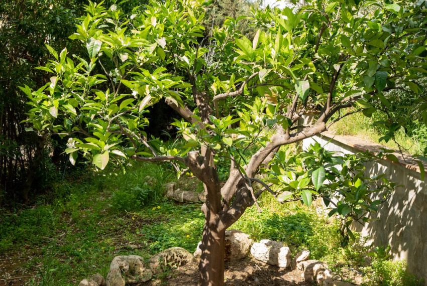 R5346391-House-For-Sale-Elviria-Detached-Villa-4-Beds-371-Built-5