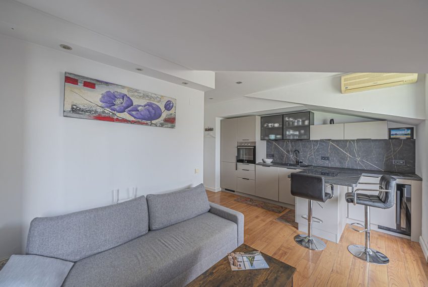 R5367196-Apartment-For-Sale-The-Golden-Mile-Penthouse-1-Beds-40-Built-4