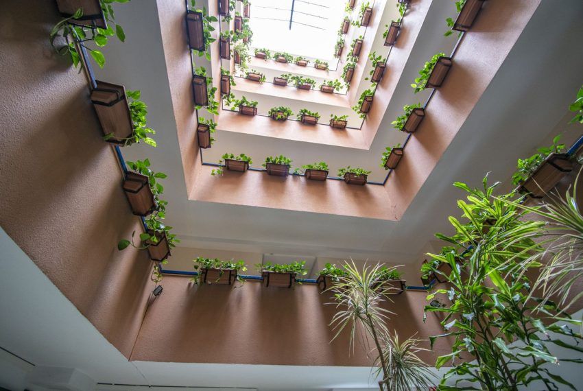 R5369134-Apartment-For-Sale-The-Golden-Mile-Penthouse-1-Beds-30-Built-11