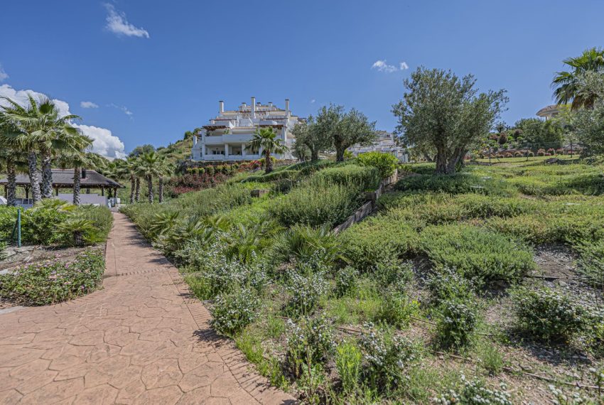 R5376055-Apartment-For-Sale-Nueva-Andalucia-Penthouse-2-Beds-105-Built-13