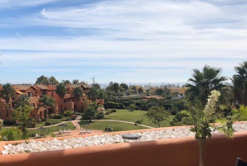 R5378746-Apartment-For-Sale-New-Golden-Mile-Penthouse-2-Beds-99-Built-12