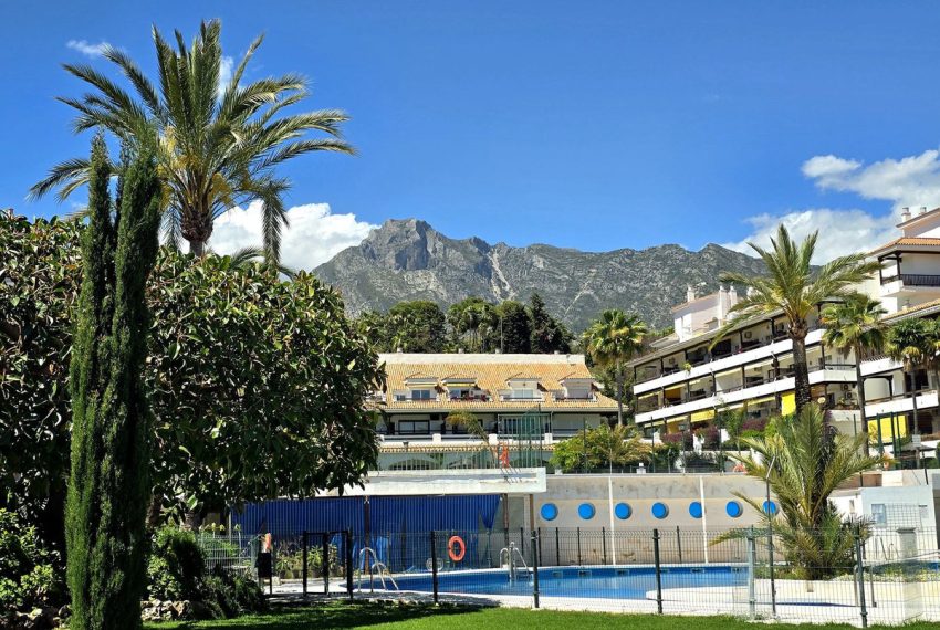 R5378989-Apartment-For-Sale-The-Golden-Mile-Top-Floor-Apartment-1-Beds-56-Built-15
