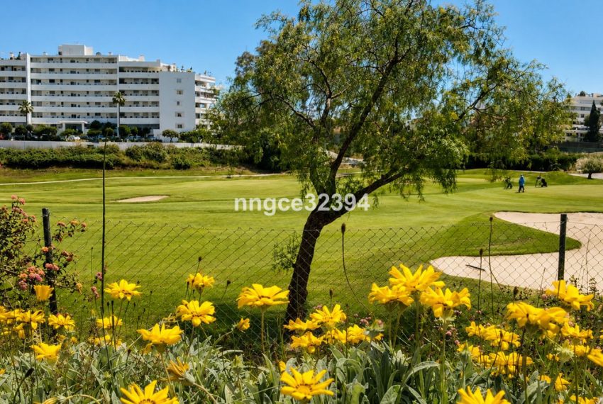 R5387224-Apartment-For-Sale-San-Pedro-de-Alcantara-Penthouse-2-Beds-158-Built-11
