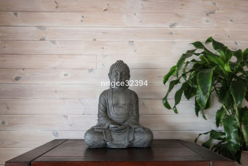 R5387224-Apartment-For-Sale-San-Pedro-de-Alcantara-Penthouse-2-Beds-158-Built-19