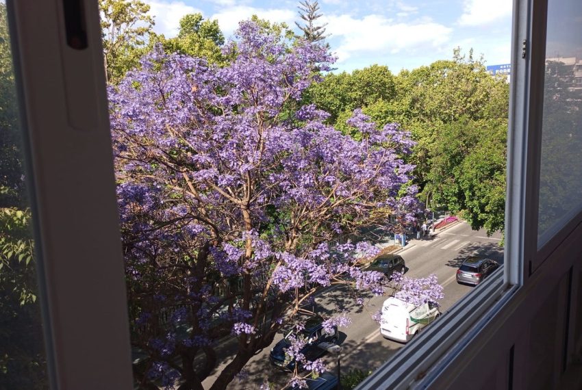 R5388772-Apartment-For-Sale-Marbella-Middle-Floor-Apartment-3-Beds-100-Built-17