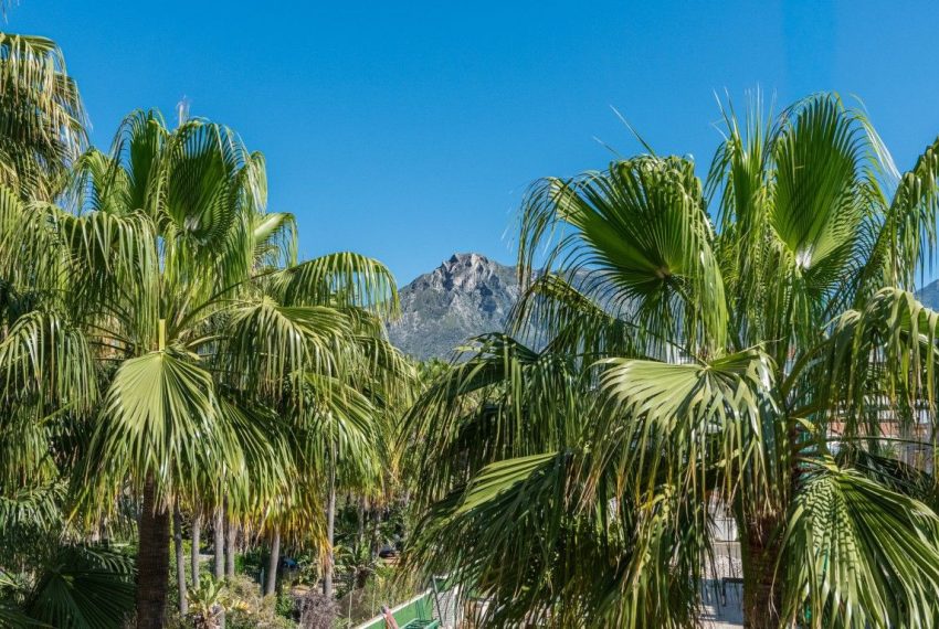 R5398399-Apartment-For-Sale-Nagueles-Ground-Floor-Apartment-2-Beds-132-Built-9