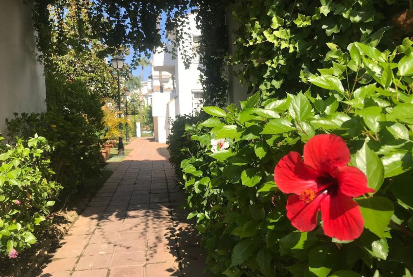 R5406250-Apartment-For-Sale-Nueva-Andalucia-Middle-Floor-Apartment-2-Beds-104-Built-5