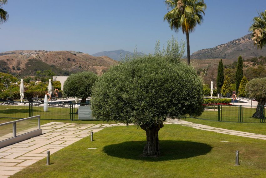 R5419816-Apartment-For-Sale-Benahavis-Ground-Floor-Apartment-3-Beds-125-Built-10