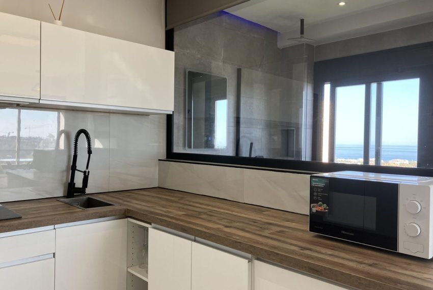 R5427583-Apartment-For-Sale-Aloha-Penthouse-1-Beds-30-Built-5
