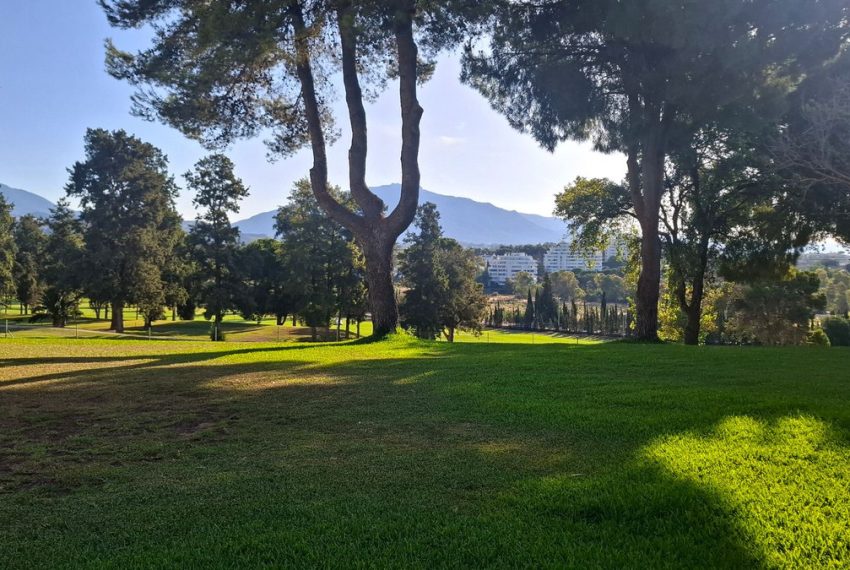 R5437372-Apartment-For-Sale-Atalaya-Ground-Floor-Apartment-1-Beds-66-Built-3